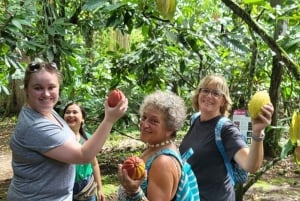 La Fortuna: Eden Chocolate Tour with Lunch