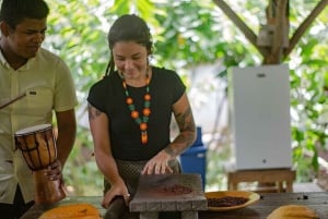La Fortuna: Eden Chocolate Tour with Lunch