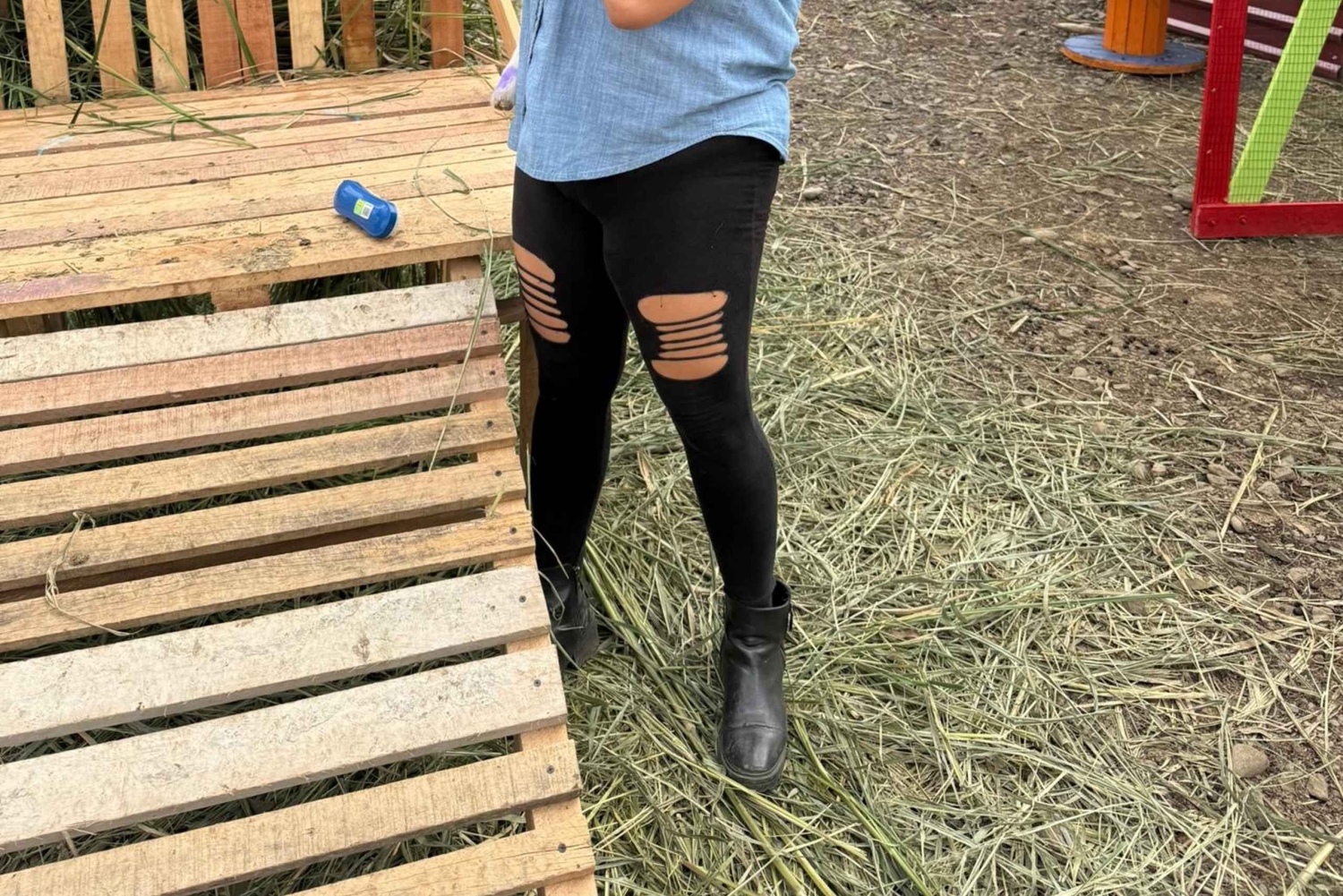 La Fortuna: Farmer for a Day Experience