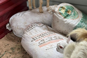 La Fortuna: Farmer for a Day Experience