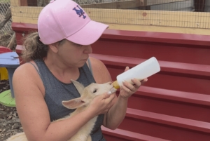 La Fortuna: Farmer for a Day Experience