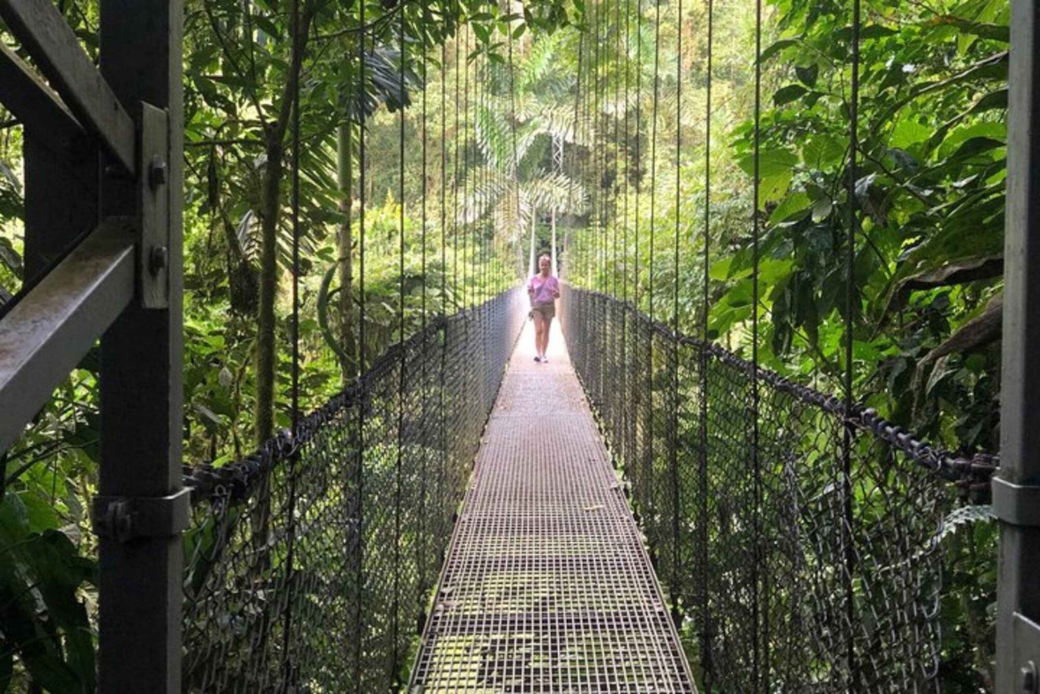 La Fortuna heldagstur til Arenal kombination vandfald, vulkan og mere