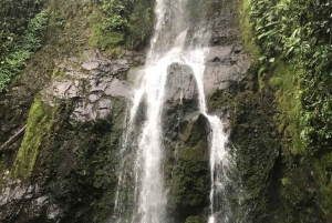 La Fortuna heldagstur til Arenal kombination vandfald, vulkan og mere