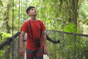 Arenal volcano, La Fortuna Waterfall & Hanging Bridges