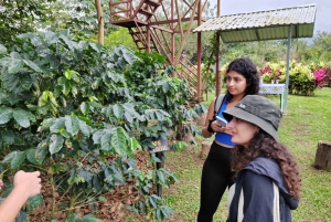 La Fortuna: Wycieczka piesza po ogrodzie z czekoladą i kawą