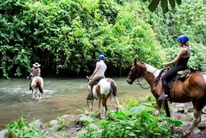 La Fortuna: begeleide paardrijervaring en rondleiding