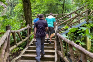 La Fortuna: Guided Waterfall Hike