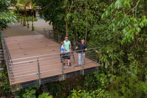 La Fortuna: Geführte Wasserfall-Wanderung