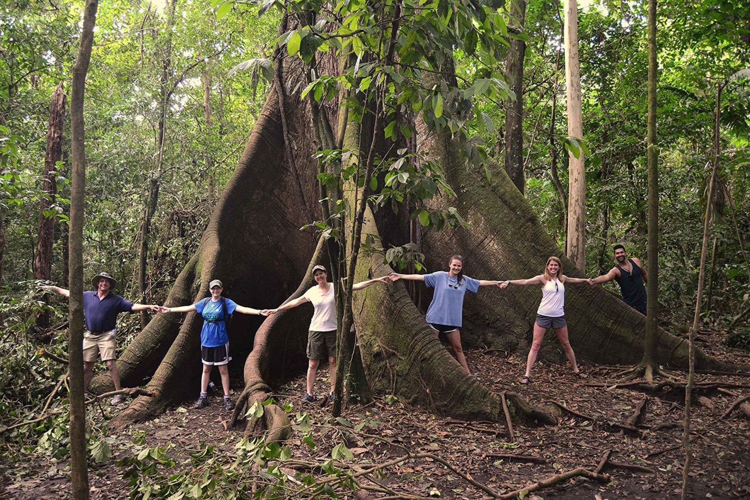 La Fortuna: Halvdags vandring til Arenal-vulkanen
