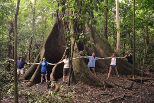 La Fortuna: Arenal-tulivuoren puolipäiväinen vaellus