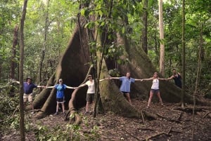 La Fortuna: Halvdags vandring til Arenal-vulkanen
