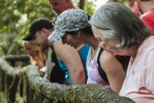 La Fortuna: Halvdags vandringstur till Arenals hängande broar