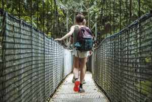 La Fortuna: Half-Day Hiking Tour to Arenal Hanging Bridges