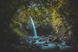 La Fortuna: Excursão de meio dia às cataratas com almoço