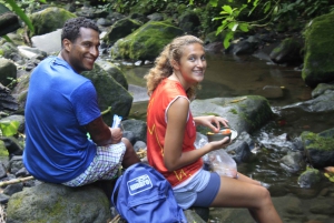 La Fortuna : Visite d'une demi-journée des chutes d'eau avec déjeuner