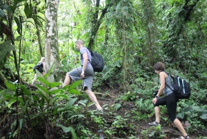 La Fortuna : Visite d'une demi-journée des chutes d'eau avec déjeuner