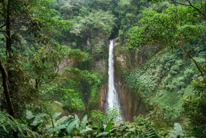 La Fortuna: Half-Day Waterfall Tour with Lunch