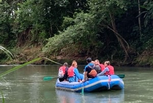 La Fortuna: półdniowe safari z dziką przyrodą