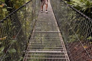 La Fortuna: Hanging Bridges and Zip Line Tour with Lunch