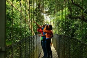 La Fortuna: Hanging Bridges, Arenal Volcano og Falls Tour