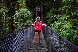 La Fortuna: Hanging Bridges, Arenal Volcano og Falls Tour