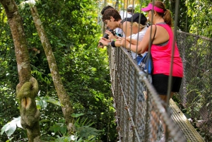 La Fortuna: Hanging Bridges, Arenal Volcano og Falls Tour