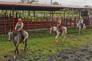 La Fortuna: escursione a cavallo alla cascata La Fortuna
