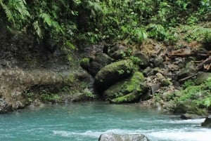 La Fortuna: escursione a cavallo alla cascata La Fortuna