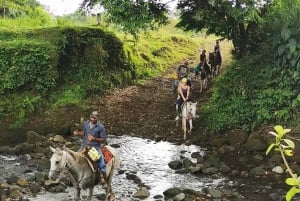 La Fortuna: escursione a cavallo alla cascata La Fortuna