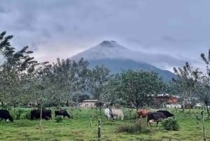 La Fortuna: escursione a cavallo alla cascata La Fortuna