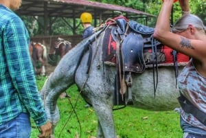 La Fortuna: escursione a cavallo alla cascata La Fortuna