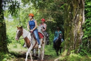 La Fortuna: escursione a cavallo alla cascata La Fortuna