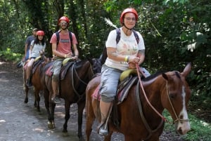 La Fortuna: Passeio a cavalo pela Cachoeira La Fortuna com transporte