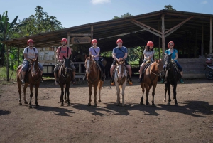 La Fortuna: Passeio a cavalo pela Cachoeira La Fortuna com transporte