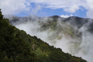 La Fortuna: Juan Castro Blanco National Park Guided Hike