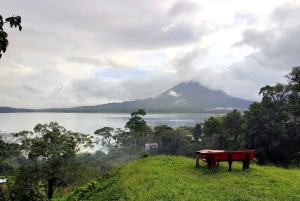 La Fortuna: Kajakfahren auf dem Arenalsee - Einzigartiger Blick auf den Vulkan