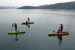La Fortuna : Excursion guidée en kayak sur le lac Arenal avec fruits