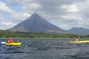 La Fortuna : Excursion guidée en kayak sur le lac Arenal avec fruits