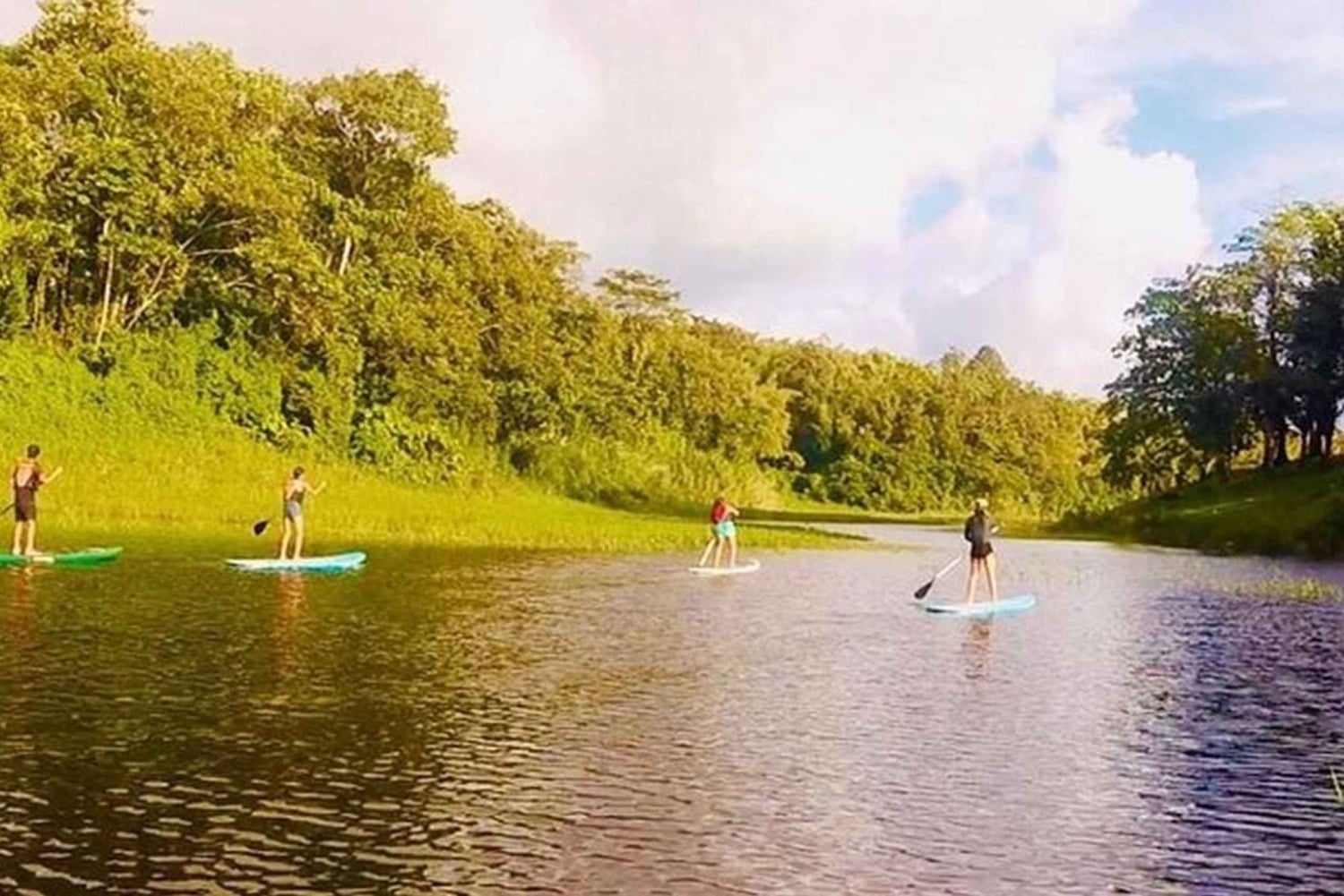 La Fortuna: Lake Arenal Private Stand Up Paddle Tour