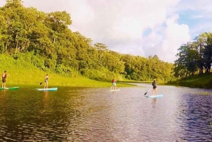 La Fortuna: Lake Arenal Private Stand Up Paddle Tour