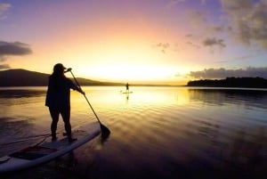 La Fortuna: Lake Arenal Private Stand Up Paddle Tour