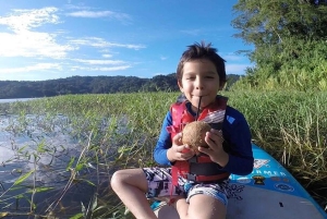 La Fortuna: Lake Arenal Private Stand Up Paddle Tour