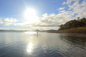 La Fortuna: Lake Arenal Private Stand Up Paddle Tour