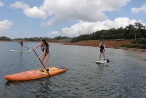 La Fortuna: Lake Arenal Private Stand Up Paddle Tour