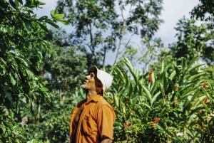 La Fortuna: Local Coffee Tour Experience