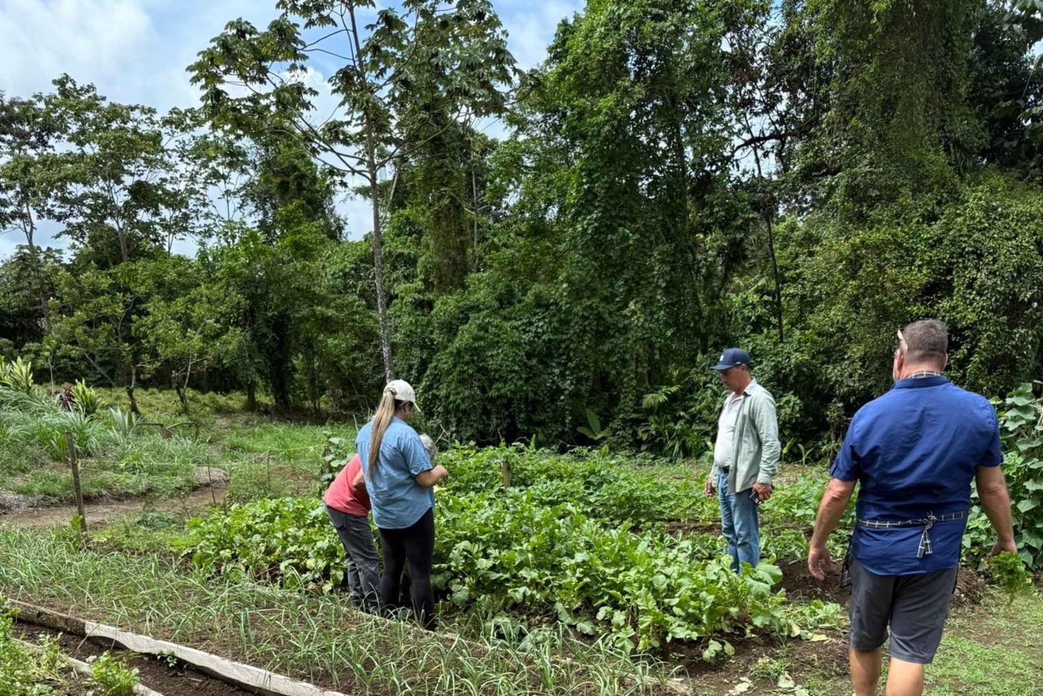 La Fortuna: Medicinal Plant Tour & Tea-Making Class