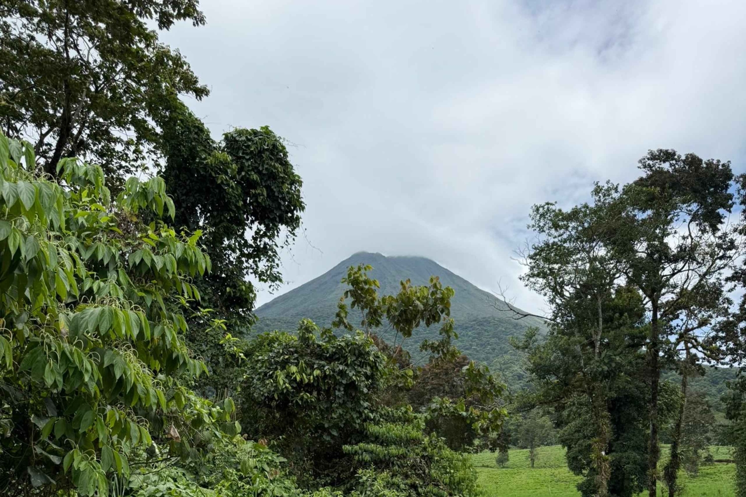 La Fortuna: Medicinal Plant Tour & Tea-Making Class