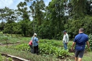 La Fortuna: Medicinal Plant Tour & Tea-Making Class