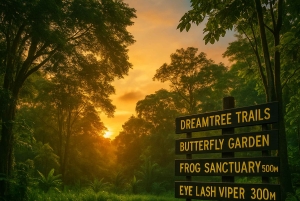 La Fortuna: Medicinal Plant Tour & Tea-Making Class