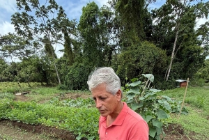 La Fortuna: Medicinal Plant Tour & Tea-Making Class